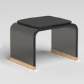 Clear Acrylic Stool with Velvet Cushion, Modern Padded Vanity Dressing Stool, Small Entryway Bench for Bedroom Room Living Room Office, No Assembly Required