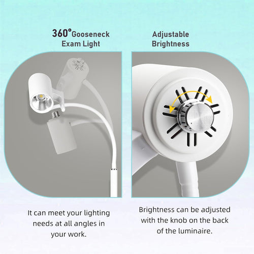 12W LED Medical Examination Light,Mobile Exam Lamp with Stainless Steel 5-Leg Base