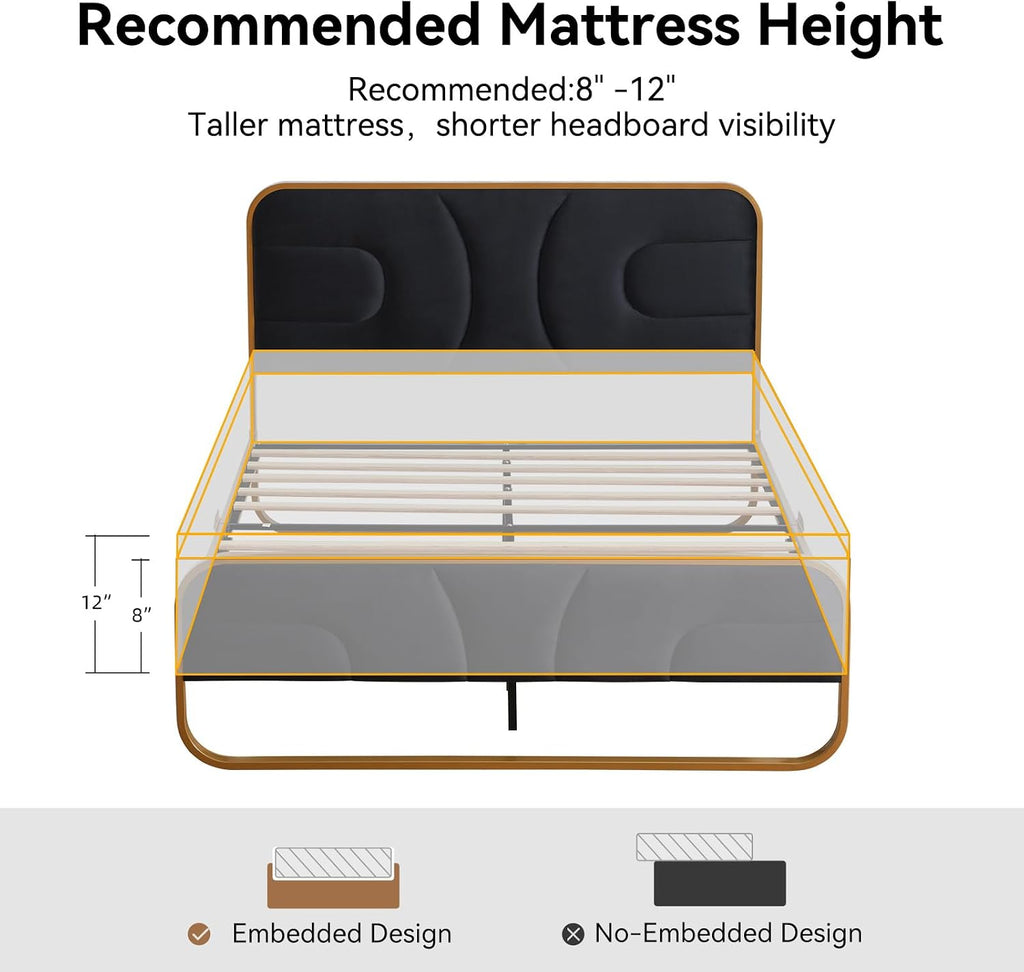 VELOCAVA Rounded Metal Upholstered Bed Queen with Unique Headboard, Soft Velvet Platform Bed Storage Supported by Metal Base and Wooden Slats, No Box Spring Needed,Gold & Black