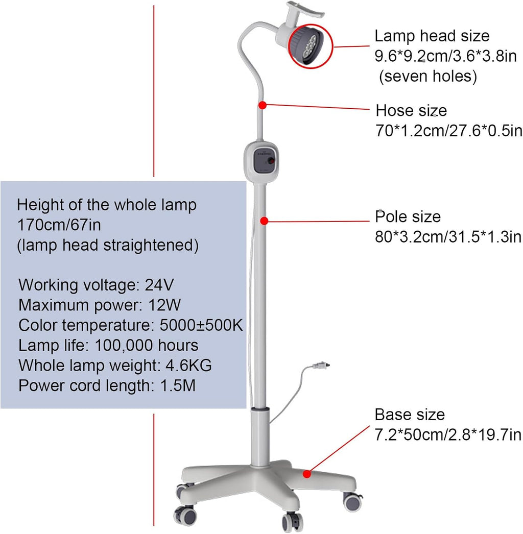 12W Medical Exam Lamp LED Surgical Light, 24V, Weighted Base, Mobile Exam Light with Flexible Gooseneck Lamp, Height-Adjustable, Dimmable, Floor Lamps with Wheels Rolling Base