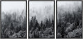 SIGNWIN Framed Canvas Print Wall Art Set Black & White Misty Mountain Forest Nature Wilderness Photography Modern Art Landscape Relax/Calm for Living Room, Bedroom, Office - 16'x24'x3 Black