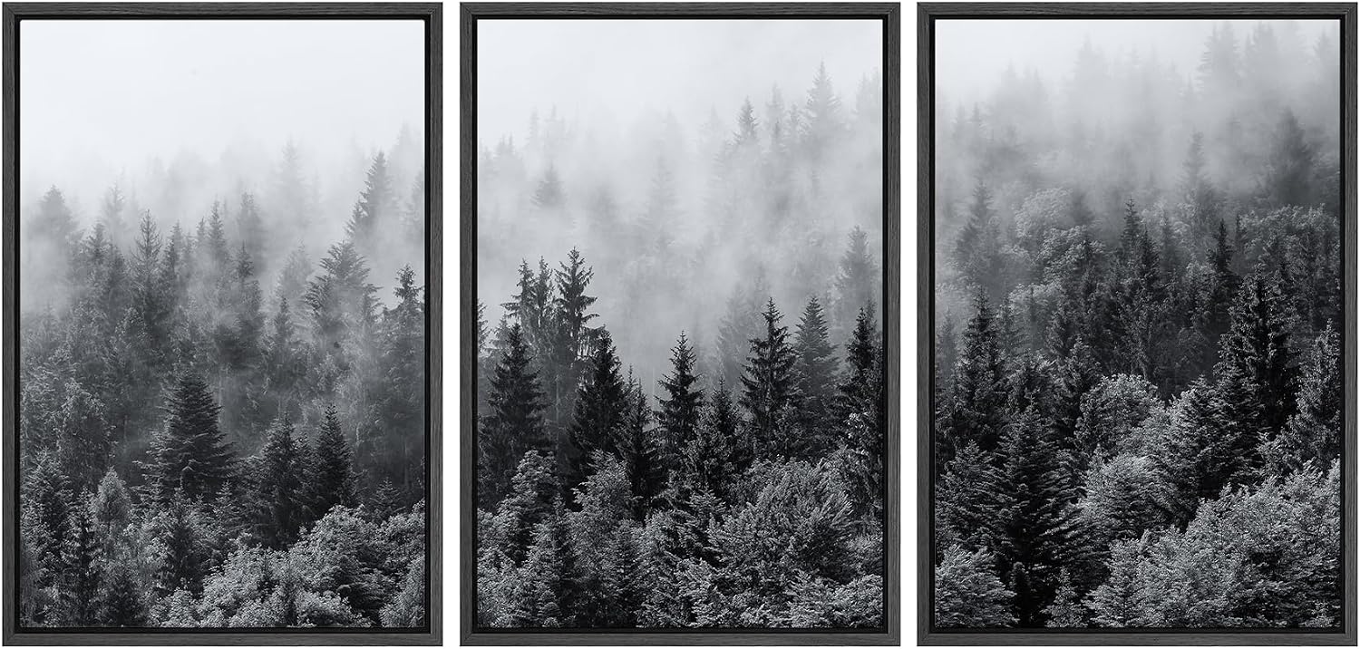 SIGNWIN Framed Canvas Print Wall Art Set Black & White Misty Mountain Forest Nature Wilderness Photography Modern Art Chic Landscape Relax/Calm for Living Room, Bedroom, Office - 24'x36'x3 Black