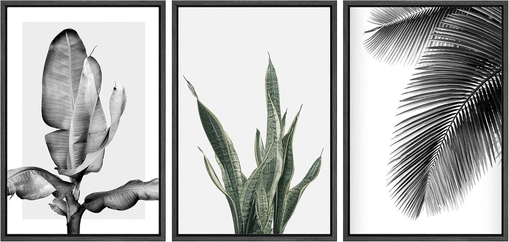 SIGNWIN Framed Canvas Print Wall Art Trio of Jungle Palms & Snake Succulents Floral Plants Photography Modern Art Minimalist Black and White for Living Room, Bedroom, Office - 24'x36'x3 Black