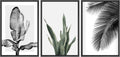 SIGNWIN Framed Canvas Print Wall Art Trio of Jungle Palms & Snake Succulents Floral Plants Photography Modern Art Minimalist Black and White for Living Room, Bedroom, Office - 24'x36'x3 Black