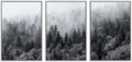SIGNWIN Framed Canvas Print Wall Art Set Black & White Misty Mountain Forest Nature Wilderness Photography Modern Art Chic Landscape Relax/Calm for Living Room, Bedroom, Office - 16'x24'x3 White