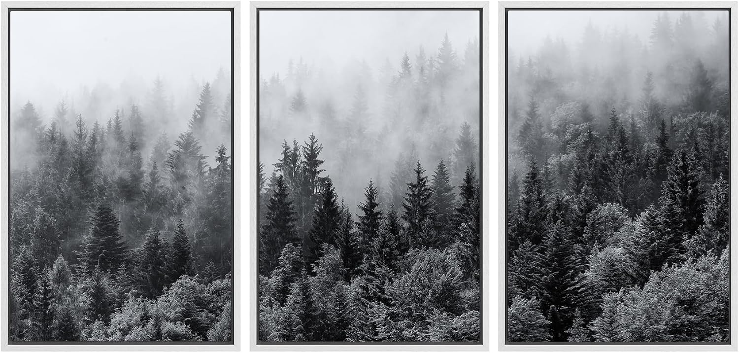 SIGNWIN Framed Canvas Print Wall Art Set Black & White Misty Mountain Forest Nature Wilderness Photography Modern Art Chic Landscape Relax/Calm for Living Room, Bedroom, Office - 16'x24'x3 White
