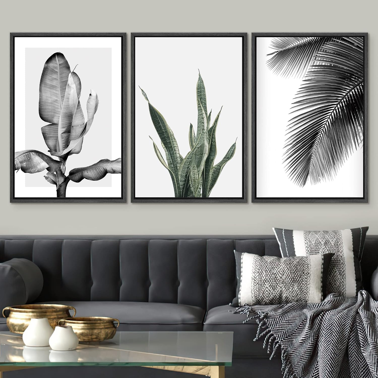 SIGNWIN Framed Canvas Print Wall Art Trio of Jungle Palms & Snake Succulents Floral Plants Photography Modern Art Minimalist Black and White for Living Room, Bedroom, Office - 24'x36'x3 Black