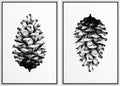 SIGNWIN Framed Canvas Print Wall Art Set Black & White Forest Woodland Pinecone Nature Wilderness Illustrations Modern Art Rustic Relax/Calm for Living Room, Bedroom, Office - 24'x36'x2 White