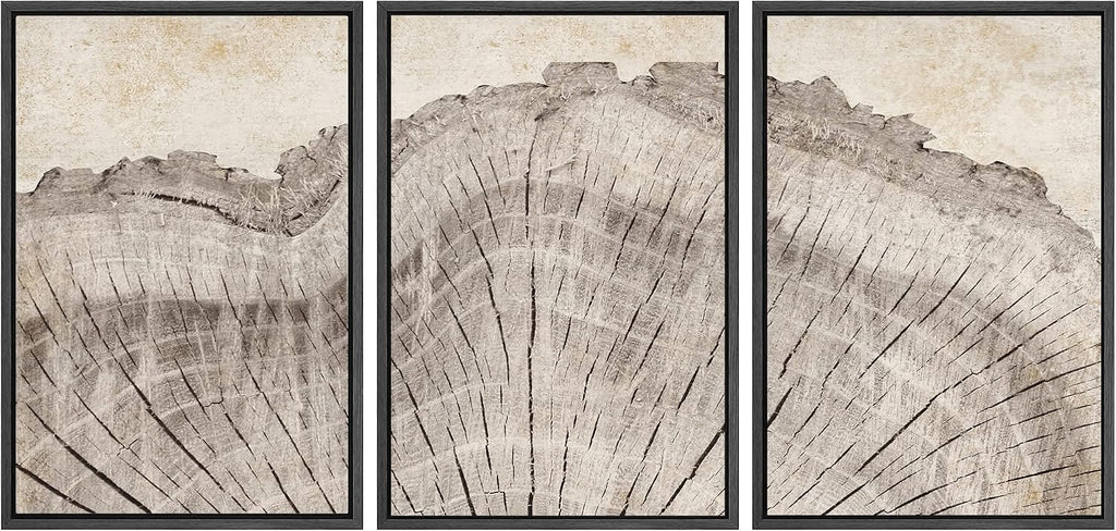 SIGNWIN Framed Canvas Print Wall Art Set Retro Close Up Oak Wood Tree Rings Nature Wilderness Illustrations Modern Art Decorative Farmhouse Zen for Living Room, Bedroom, Office - 24'x36'x3 Black