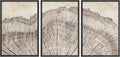 SIGNWIN Framed Canvas Print Wall Art Set Retro Close Up Oak Wood Tree Rings Nature Wilderness Illustrations Modern Art Decorative Farmhouse Zen for Living Room, Bedroom, Office - 24'x36'x3 Black