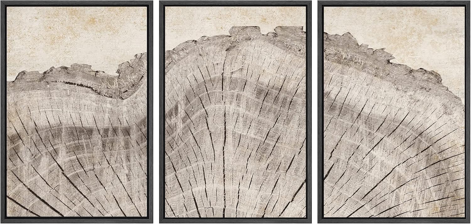 SIGNWIN Framed Canvas Print Wall Art Set Retro Close Up Oak Wood Tree Rings Nature Wilderness Illustrations Modern Art Decorative Farmhouse Zen for Living Room, Bedroom, Office - 24'x36'x3 Black