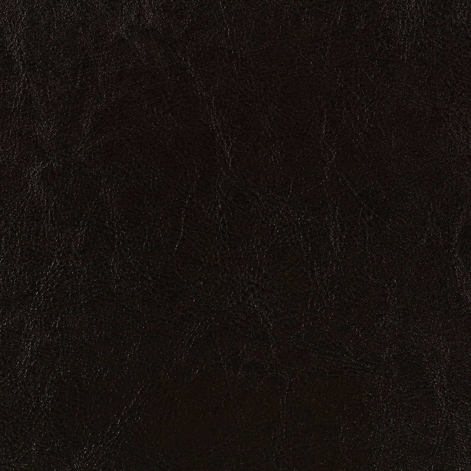Coaster Home Furnishings Dorian Transitional Leatherette Upholstered Queen Size Panel Bed Frame 46-inch Headboard Brown 300762Q
